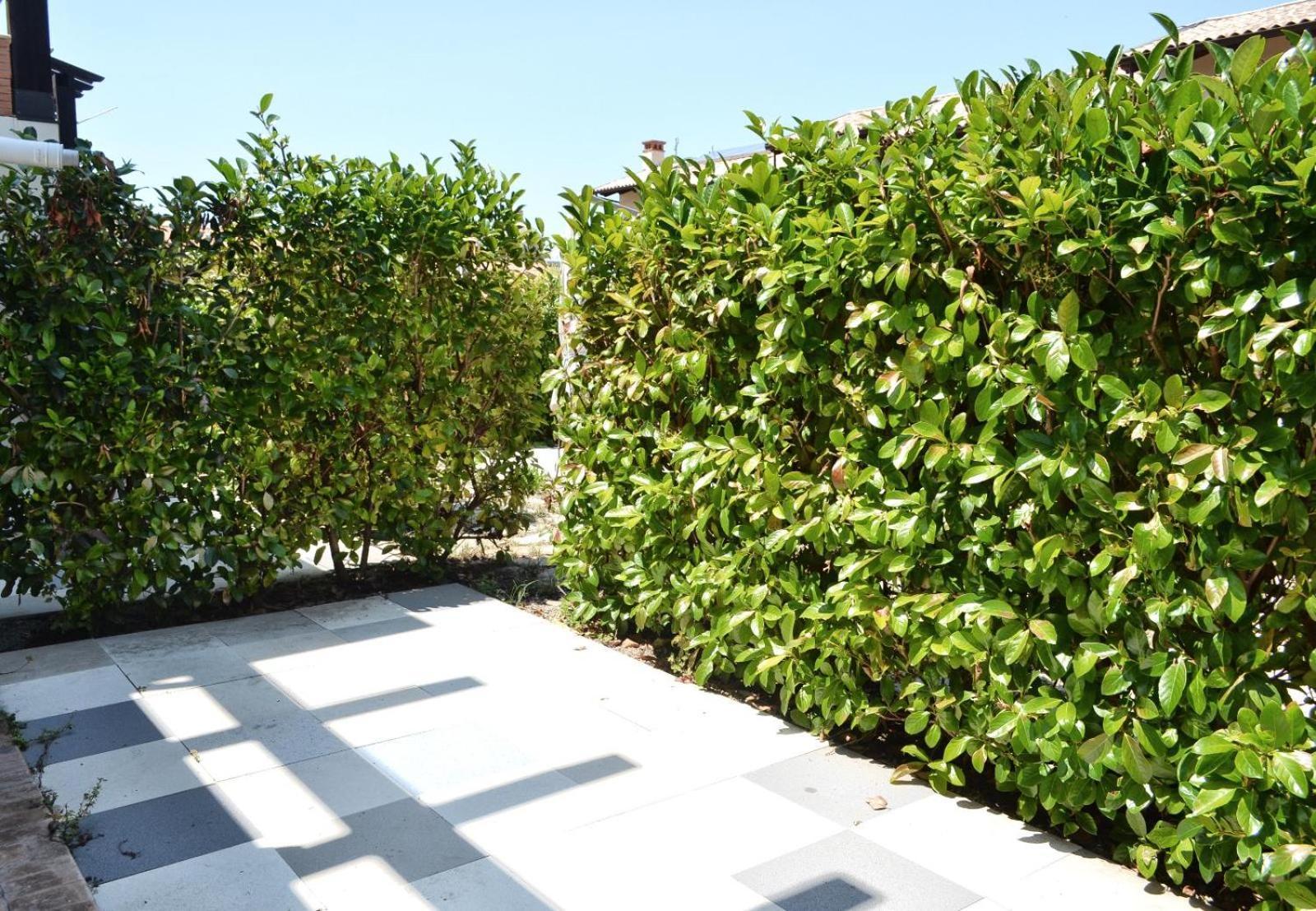 Le Case Del Carmine Con Giardino E Parcheggio A Тропеа Екстериор снимка