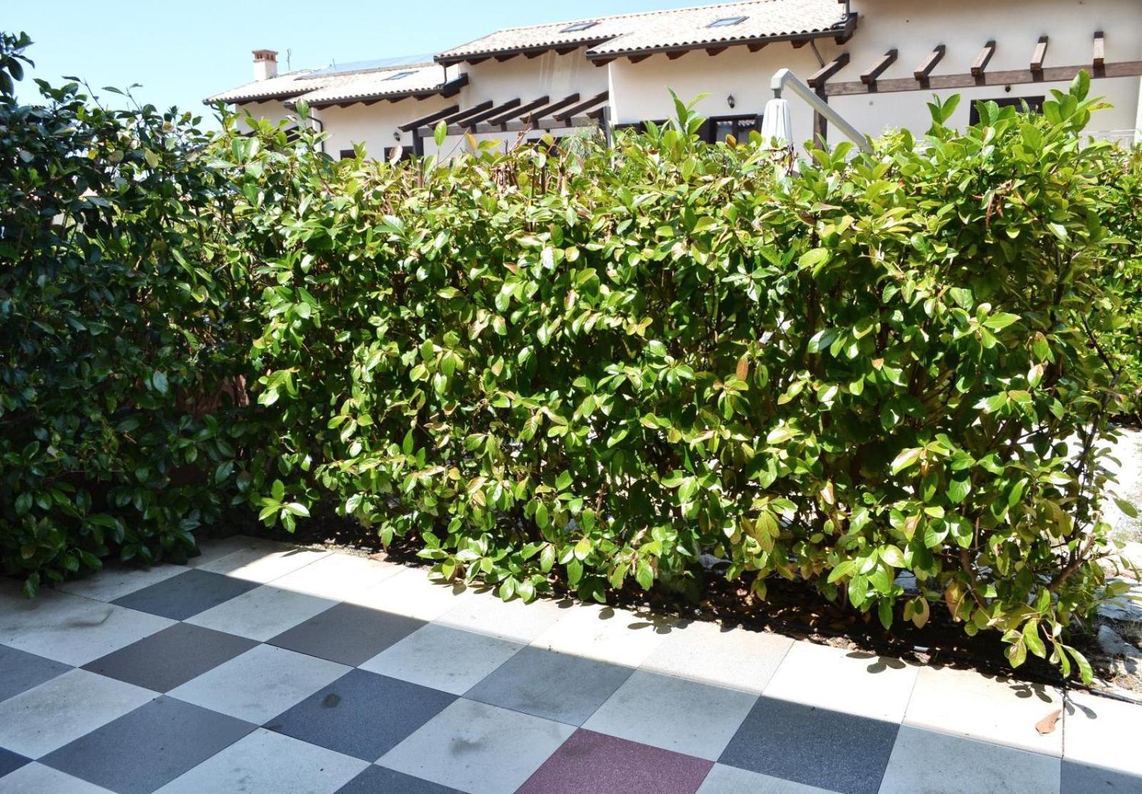 Le Case Del Carmine Con Giardino E Parcheggio A Тропеа Екстериор снимка